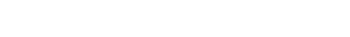 Bryony Gibson Consulting